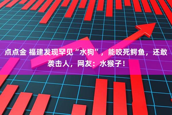 点点金 福建发现罕见“水狗”，能咬死鳄鱼，还敢袭击人，网友：水猴子！