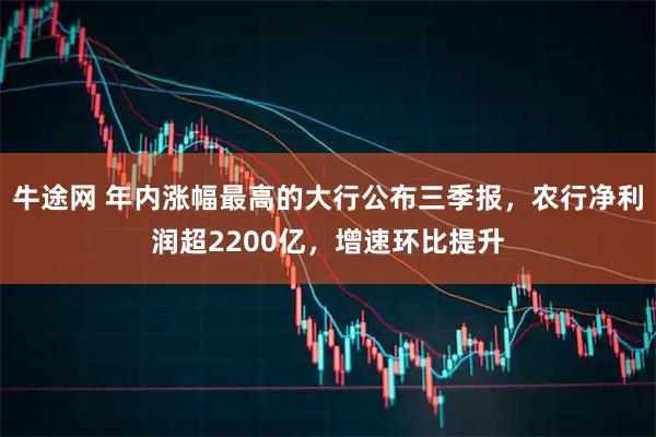 牛途网 年内涨幅最高的大行公布三季报，农行净利润超2200亿，增速环比提升
