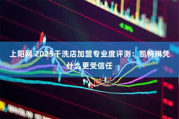 上阳网 2025干洗店加盟专业度评测：凯特琳凭什么更受信任