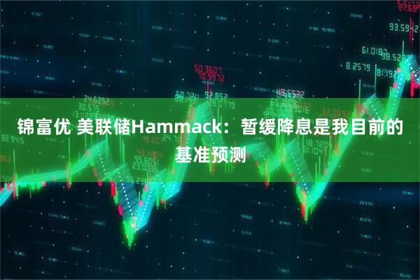 锦富优 美联储Hammack：暂缓降息是我目前的基准预测