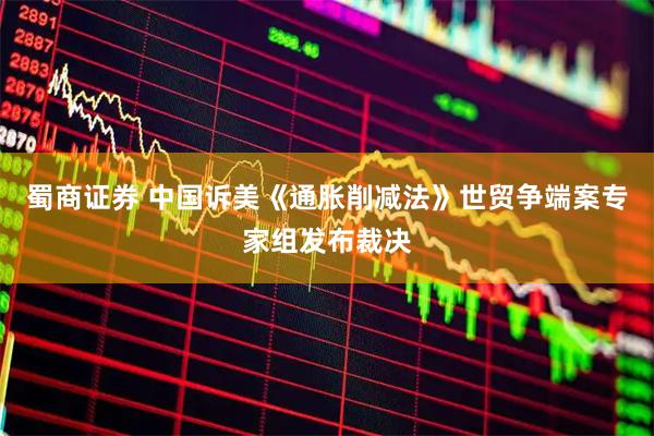 蜀商证券 中国诉美《通胀削减法》世贸争端案专家组发布裁决